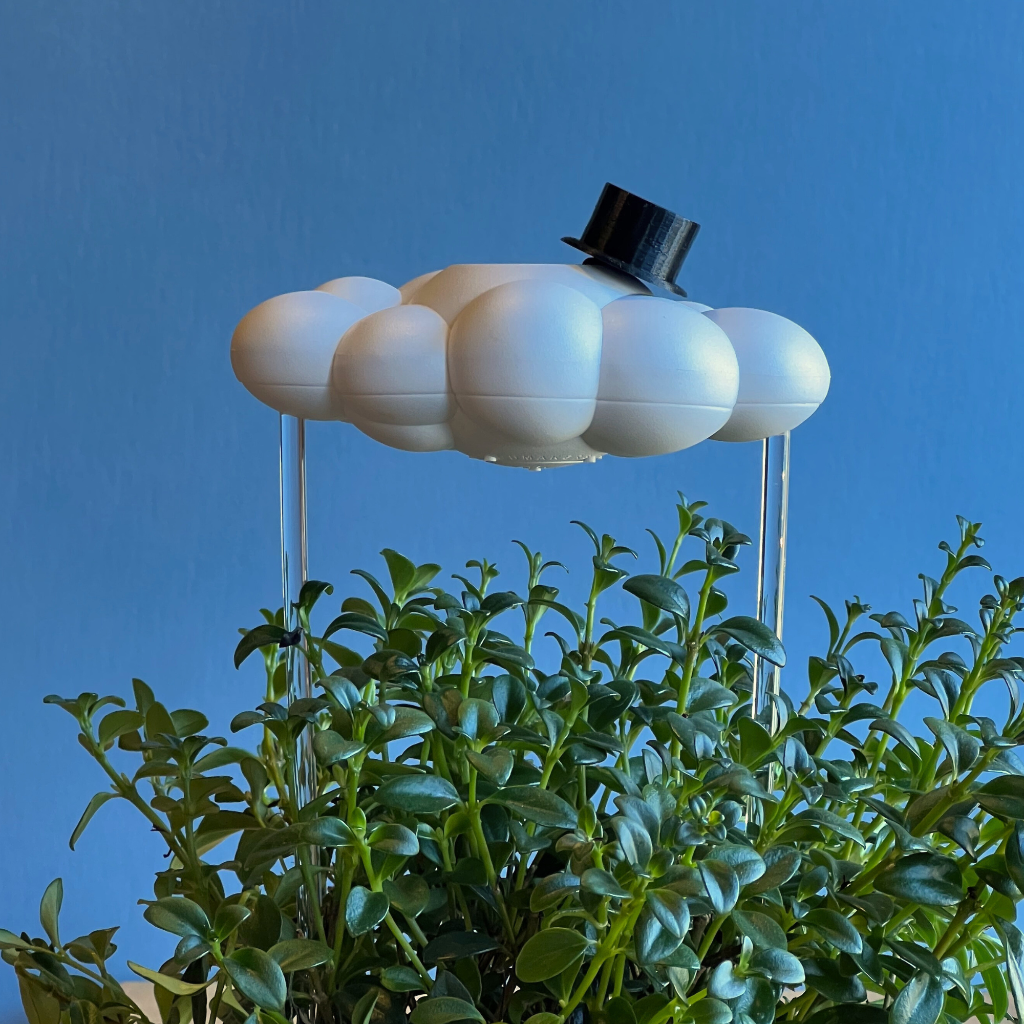 The Cloud Makers - Vente Pot - Charme de Haut-de-forme6