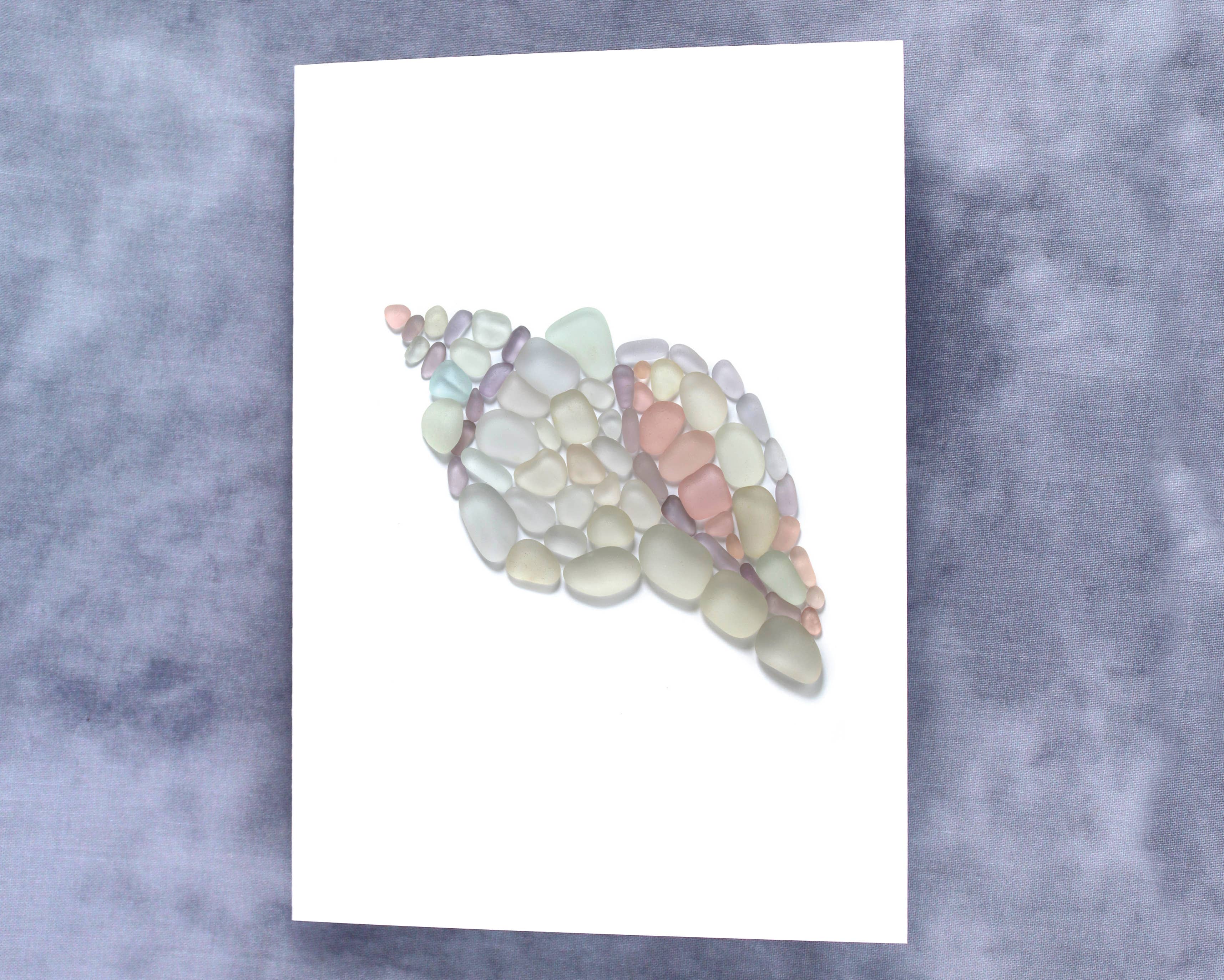 Beachcombing / Etched by the Sea - Wholesale Everyday Greeting Card - Sea Glass Conch Shell Card1