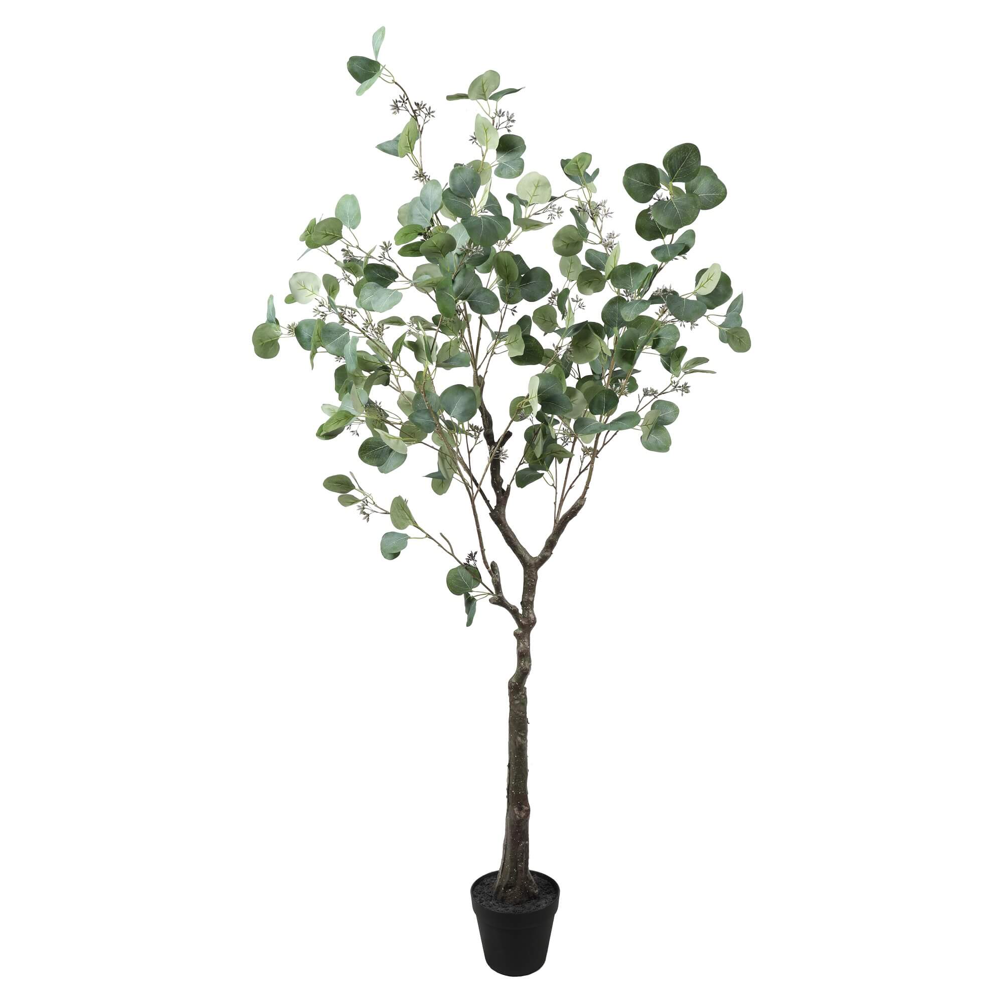 Designer Plants AU - Wholesale Artificial plant - Artificial Eucalyptus Tree (Red Box Eucalyptus Polyanthemos) 150cm1