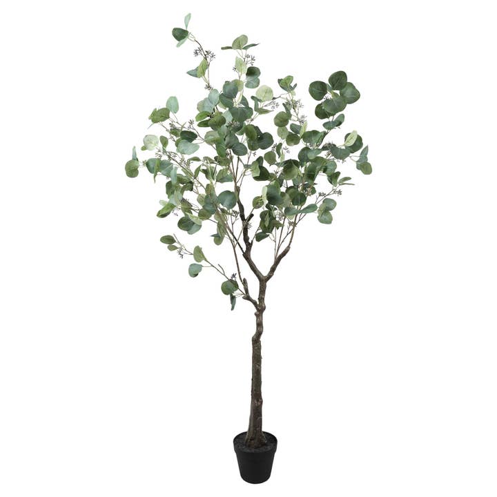 Designer Plants AU - Wholesale Artificial plant - Artificial Eucalyptus Tree (Red Box Eucalyptus Polyanthemos) 150cm1