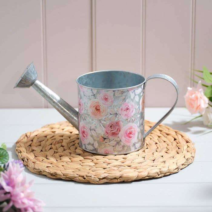 Cottage Garden Tin Watering Can with Aluminium Effect Decorative Use Only Not Suitable for Water
for wholesale by Langs