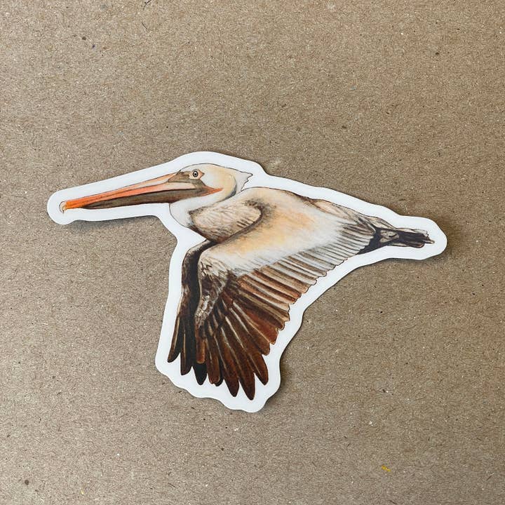 Autocollant en vinyle - Pélican brun volant pour la vente par Amy Rose Moore Illustration