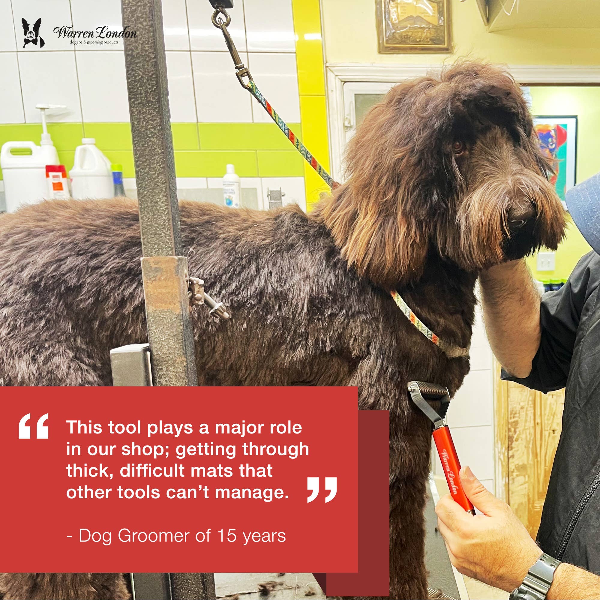 Warren London Dog Products - Wholesale Pet Brush - Cat/Dog - Dematting Rake Brush7