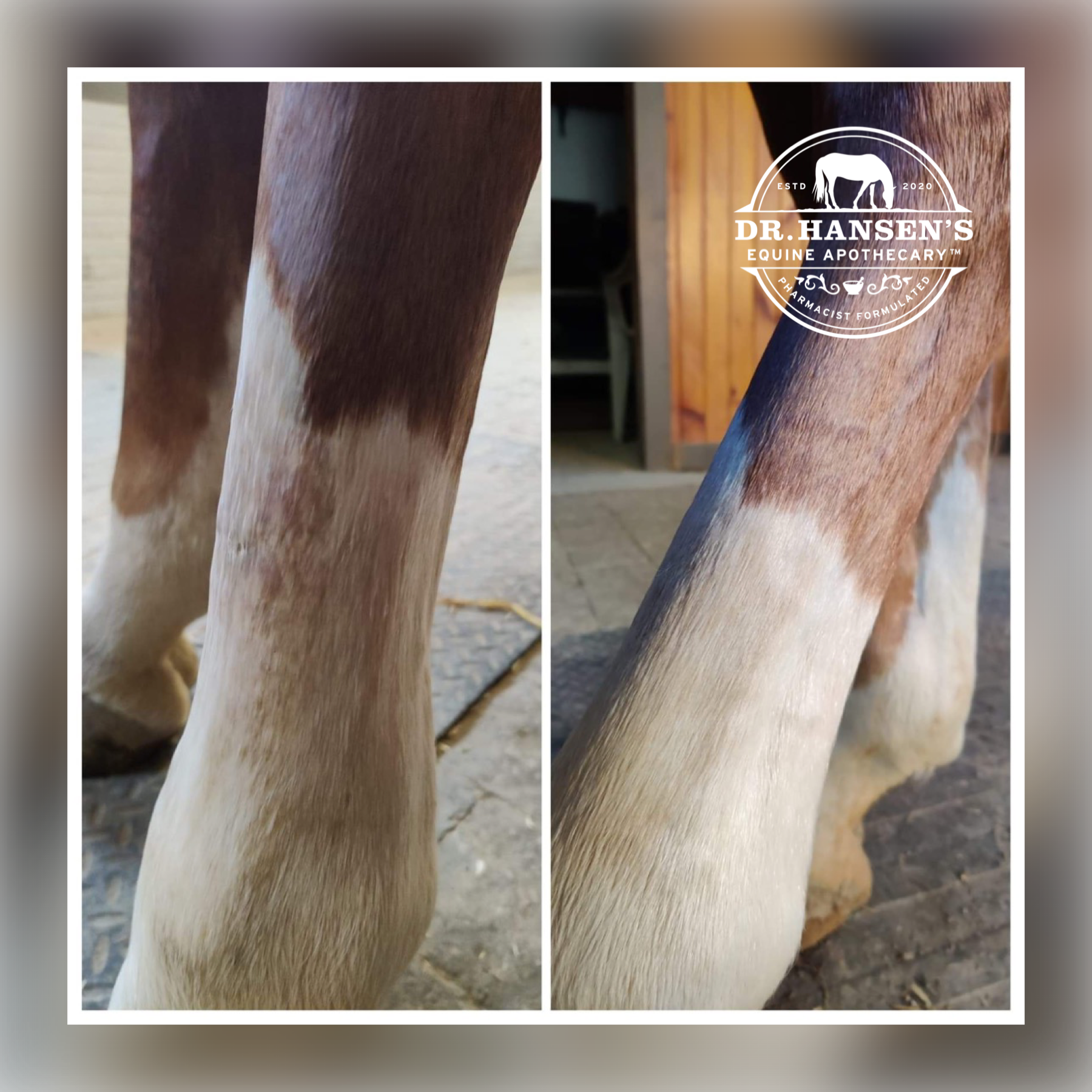 Dr. Hansen's Equine Apothecary - Wholesale Horse Conditioner/Grooming Aid - Formula 44 Ointment15