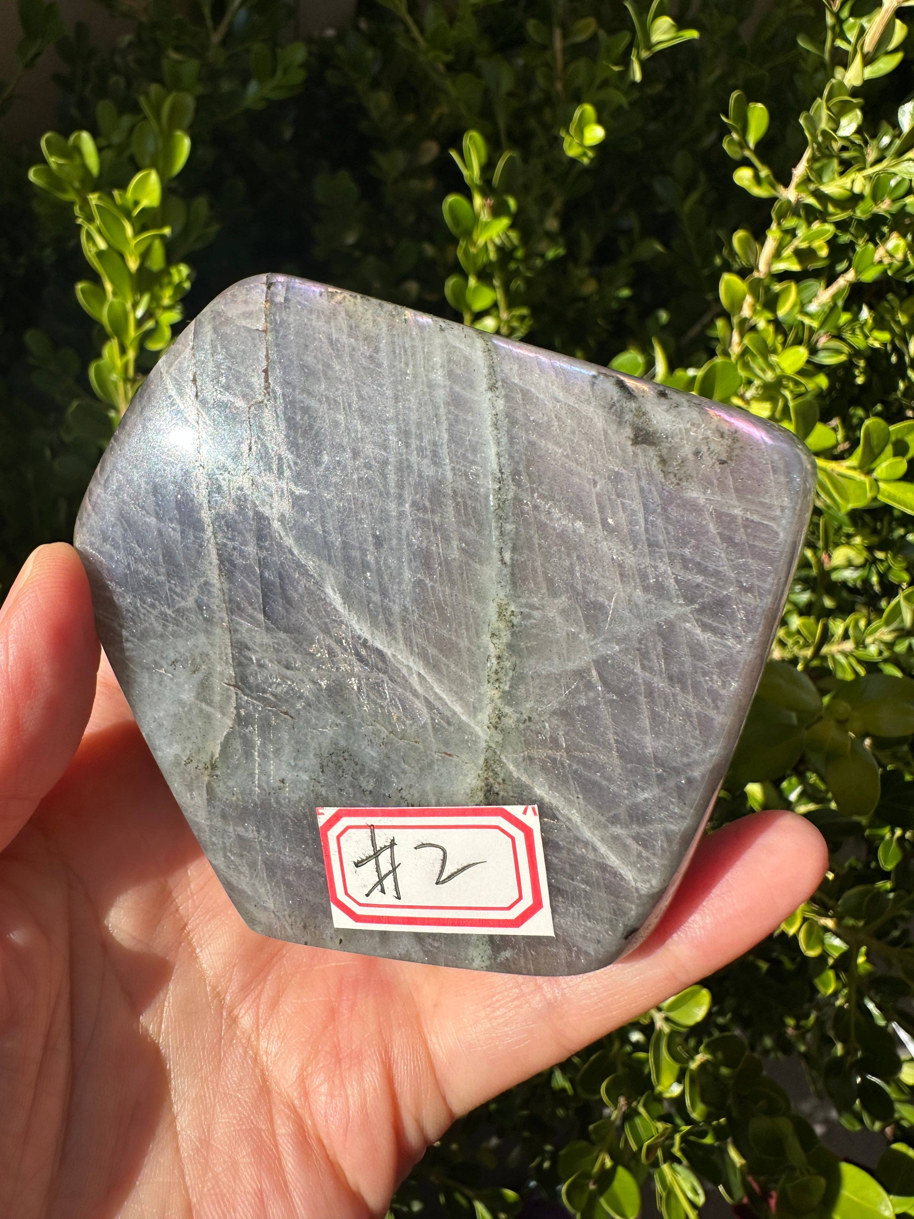 Moon Rituals - Vendita all'ingrosso Pietra/cristallo spirituale - Labradorite Viola Forma Libera, Regalo di Natale di Cristallo #22