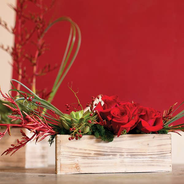 Jacobson - Wholesale Planter Box - 12"L Rectangular Wood Planter - Box of 482