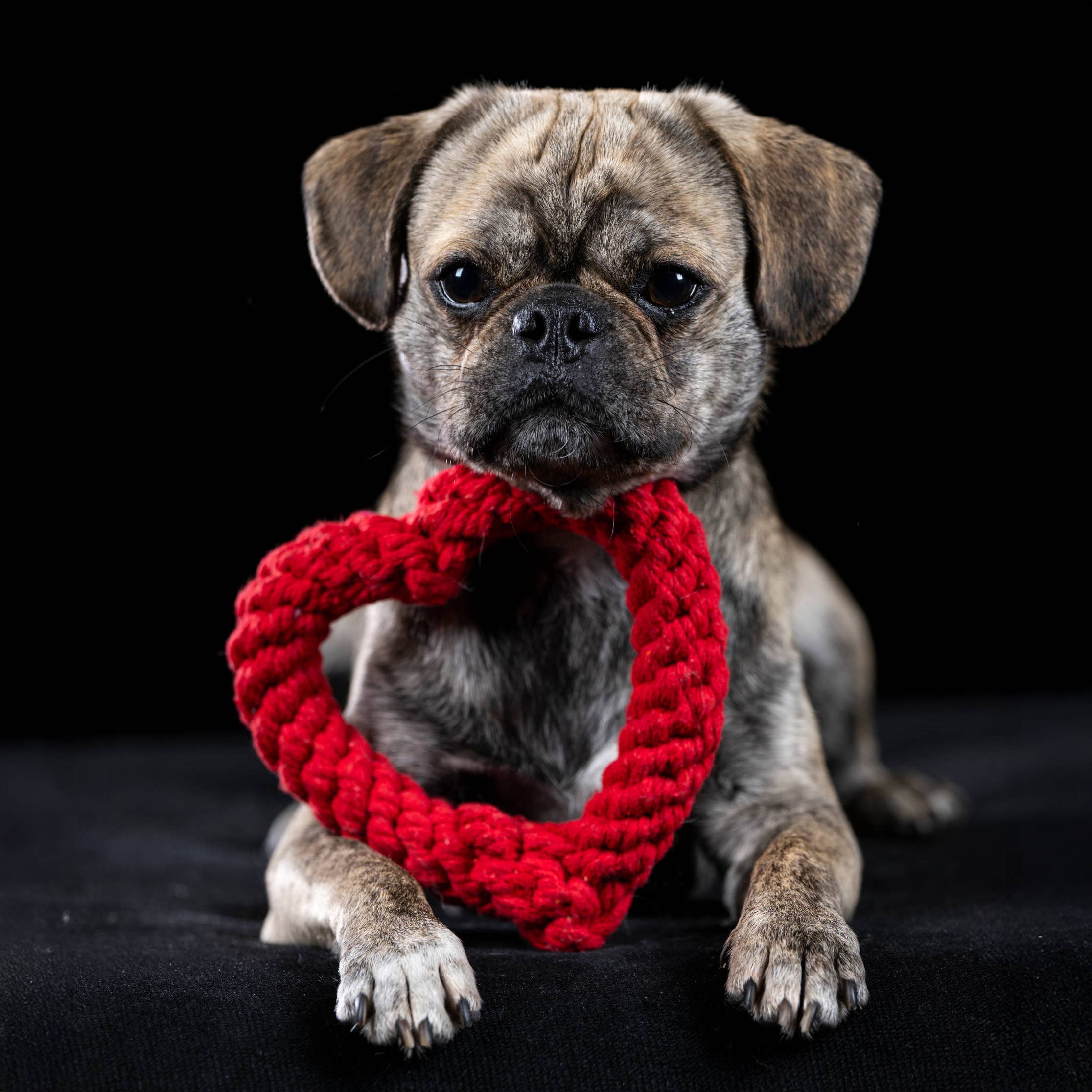 LABONI - Volentis GmbH - Wholesale Pet Rope Toy - Dog - Hertha Heart8