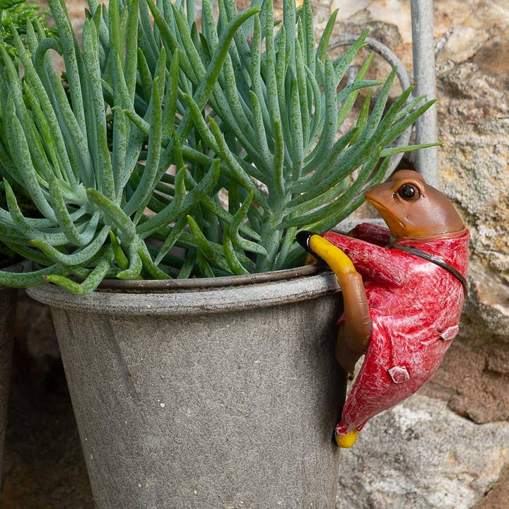 Beatrix Potter Mr. Jeremy Fisher Plant Pot Hanger for wholesale by Jardinopia UK