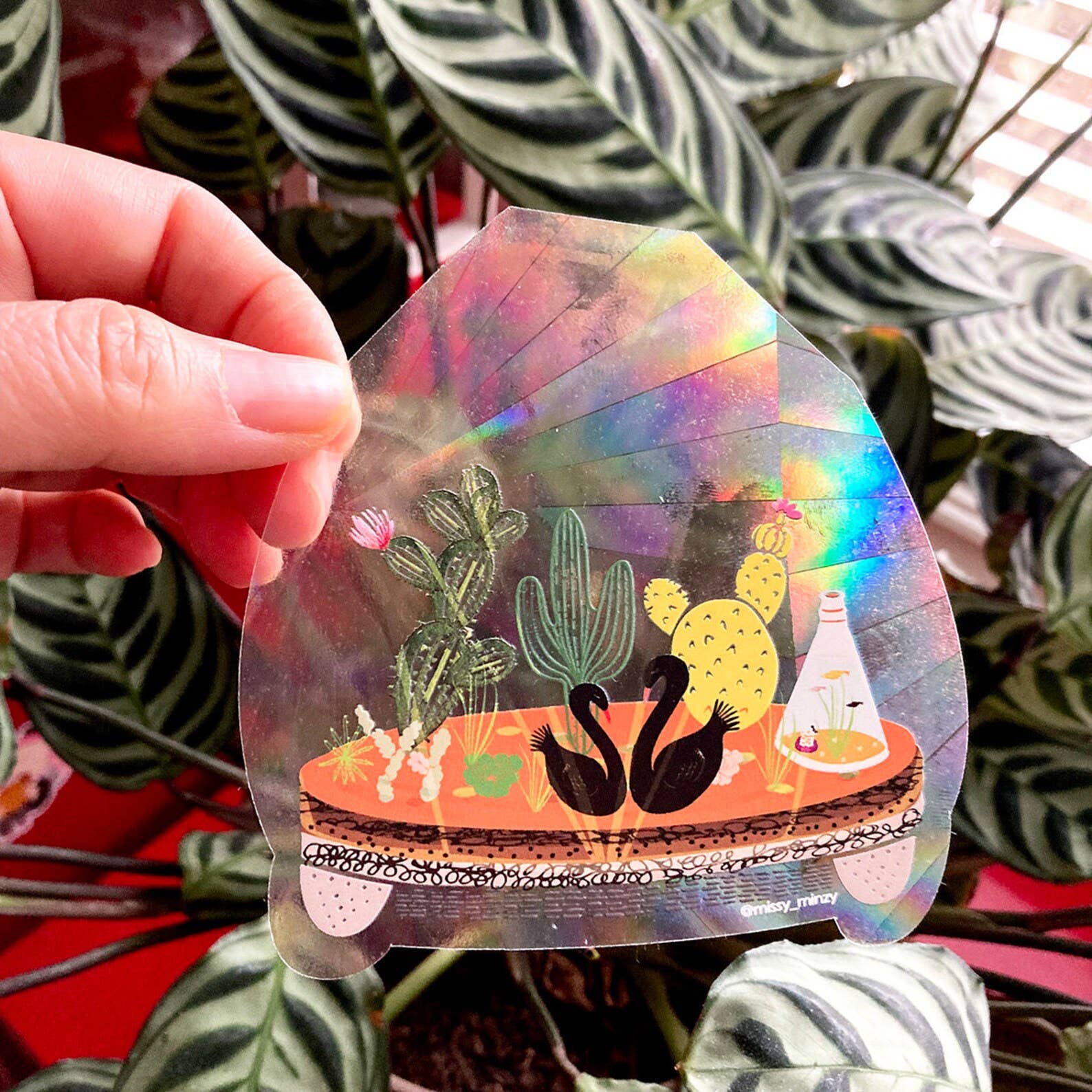 Missy Minzy - Wholesale Suncatcher - SUNCATCHER Terrarium | Rainbow Suncatcher