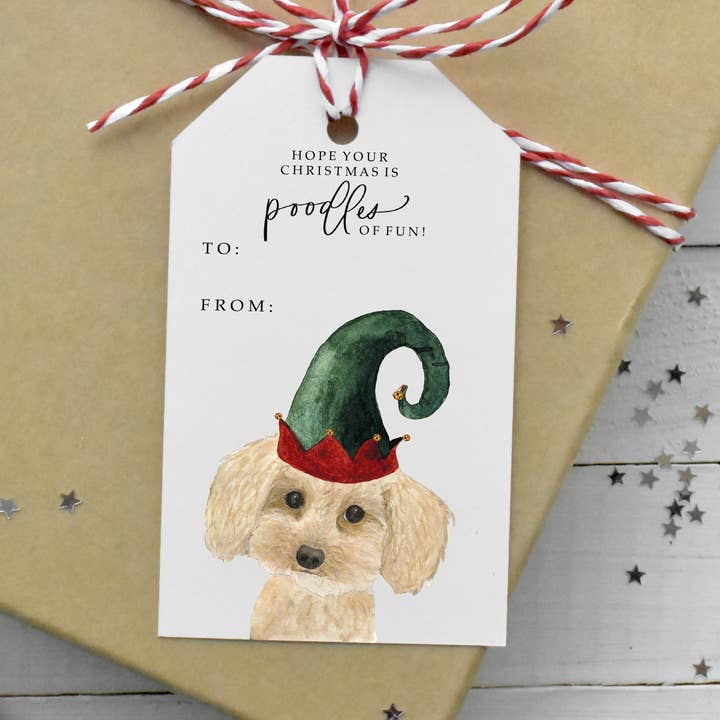 Spero che il tuo Natale sia divertente! Etichetta regalo natalizia per la vendita all'ingrosso da parte di Two Peas Paper Co.