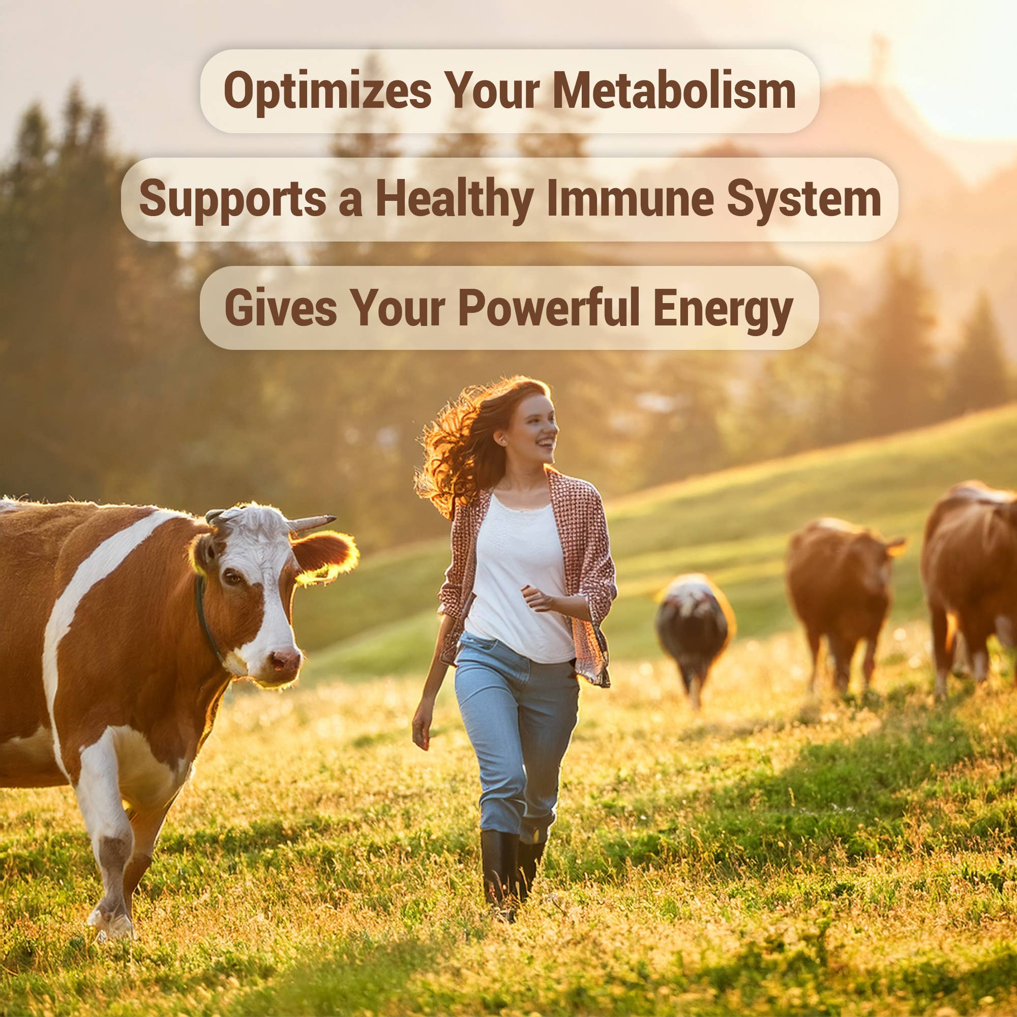 HARMONIFY - Vente Supplément oral/vitamine - Gélules de Foie de Bœuf Nourri à l’Herbe 3100 mg - Complément d’Organes7