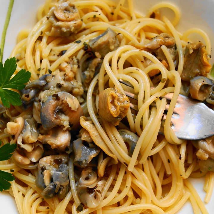 CONSERVAS LA RECETA - Wholesale Fish/Seafood - PACK - OCTOPUS AND CONCH 550GR5