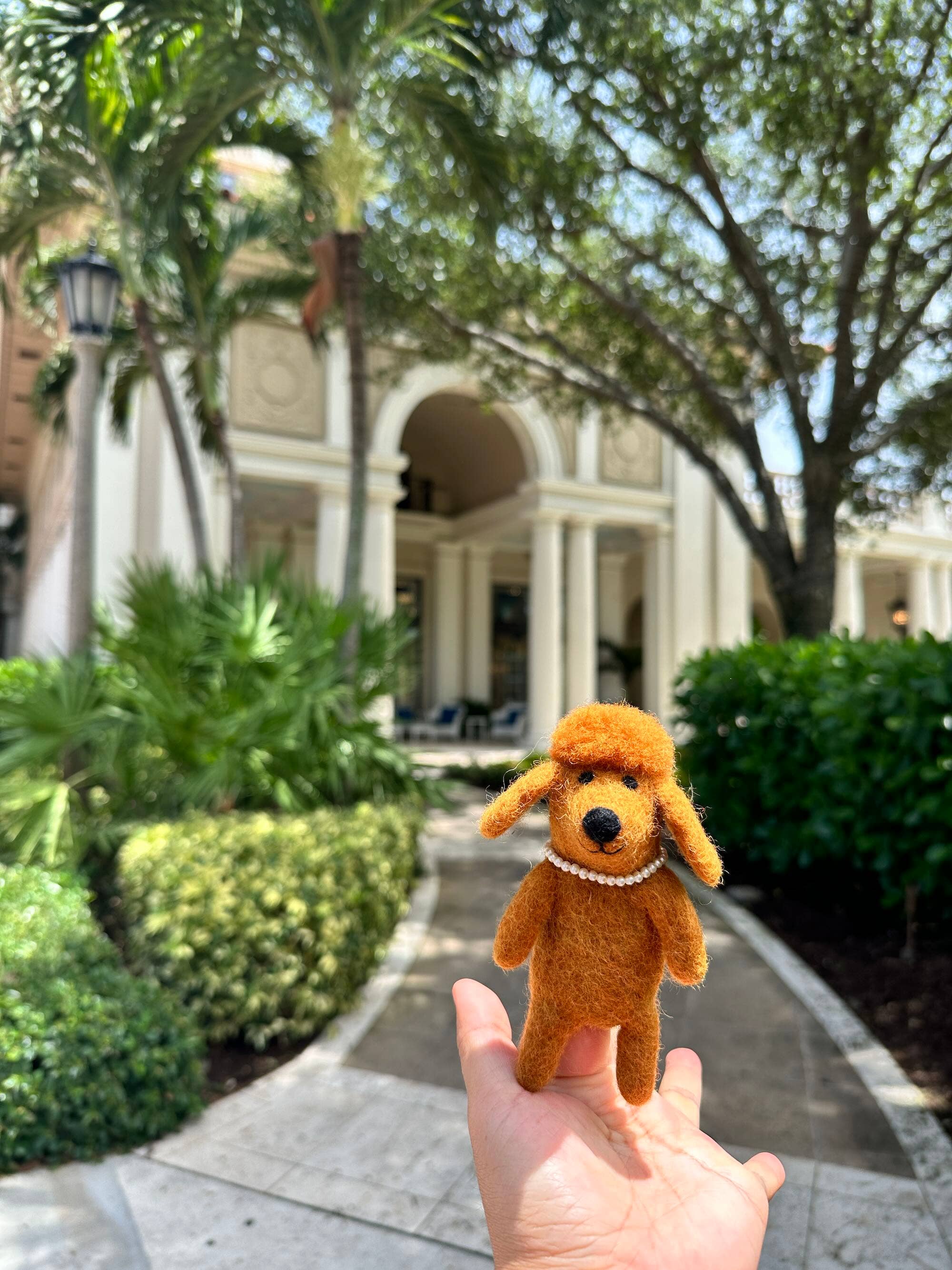 Ganapati - Vente Marionnette à doigt – enfant et bébé - Marionnette à doigts pour chien caniche5