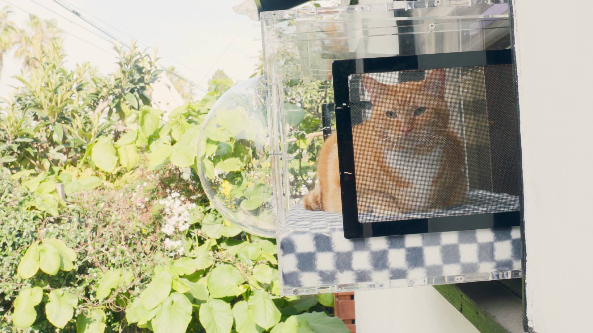 The Purrgola - Wholesale Pet Bed - Cat - The Purrgola3