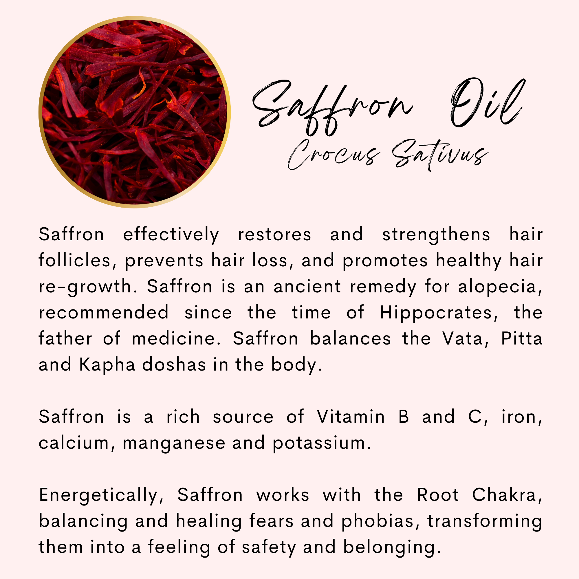 The Sacred Essence – wholesale Hårolja – HÖGRE VISDOM - 16 Kraftfull hårväxt och stärkande oljor11