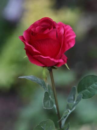 Artificial Red Large Rose Bud for wholesale by Mezu Silk Flowers