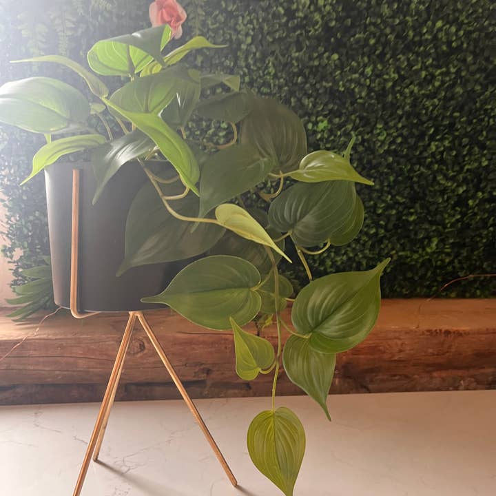 Small Round in Black with Golden Base Planter for wholesale by Kozify Decor Inc