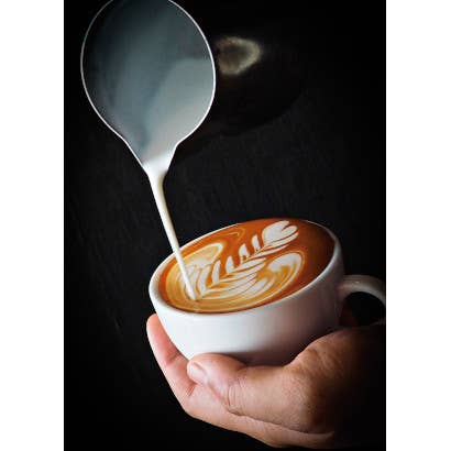 LACOR MENAJE PROFESIONAL S.L. – Großhandel Krug – Barista Inox Milchkännchen 0,5 l1