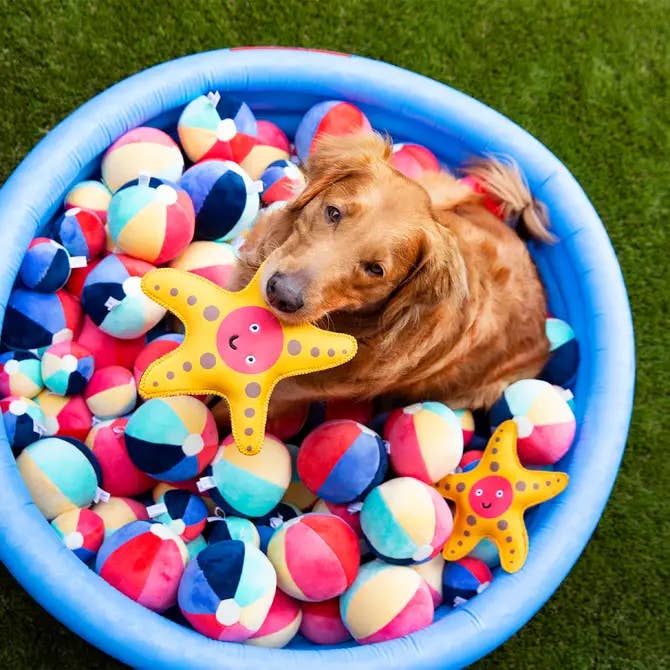 Jax & Bones - Wholesale Pet Squeaky Toy - Dog - Beach Ball Plush Dog Toy w/Squeaker (Small - 3")2