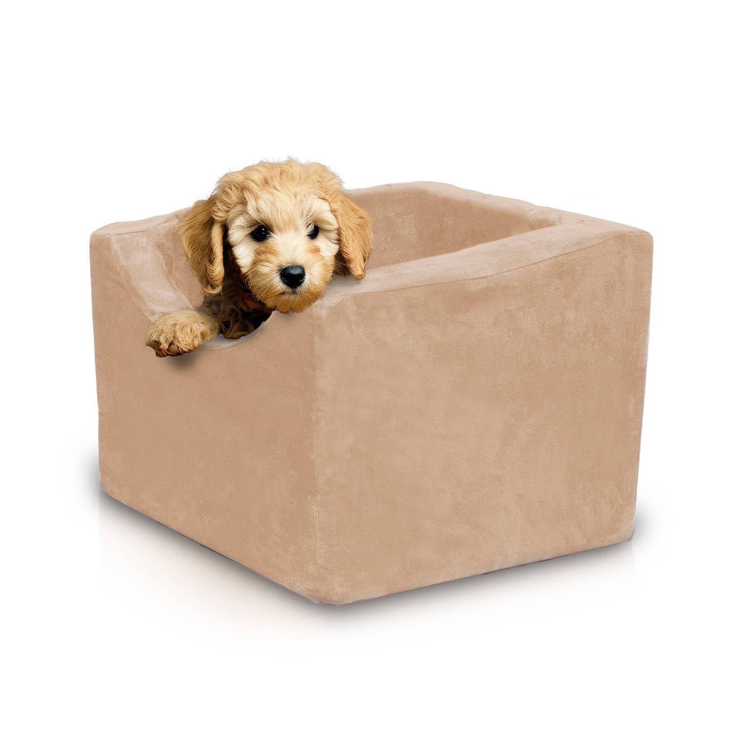 Precious Tails - Wholesale Pet Carrier - Cat/Dog - Precious Tails High Density Foam Pet Booster Seat37