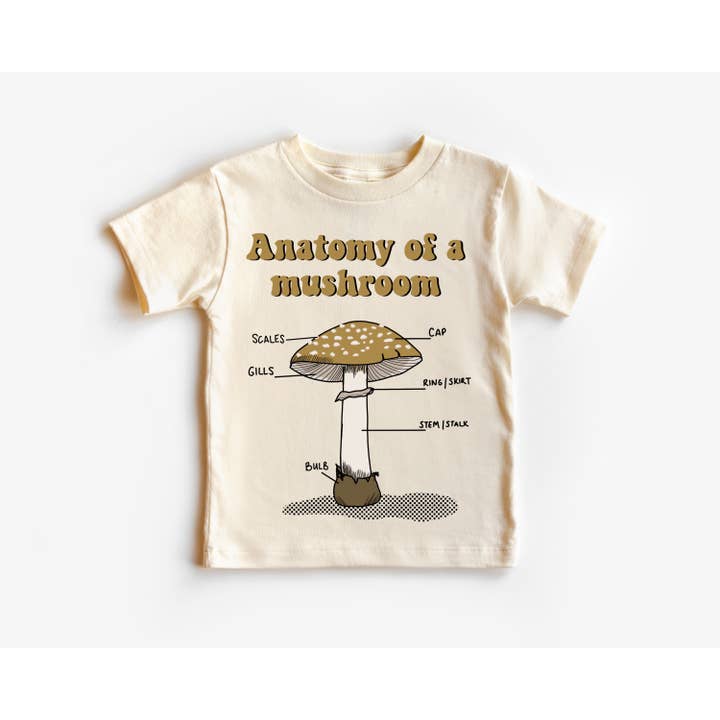 Anatomia di un fungo per la vendita all'ingrosso da parte di Urban Pines