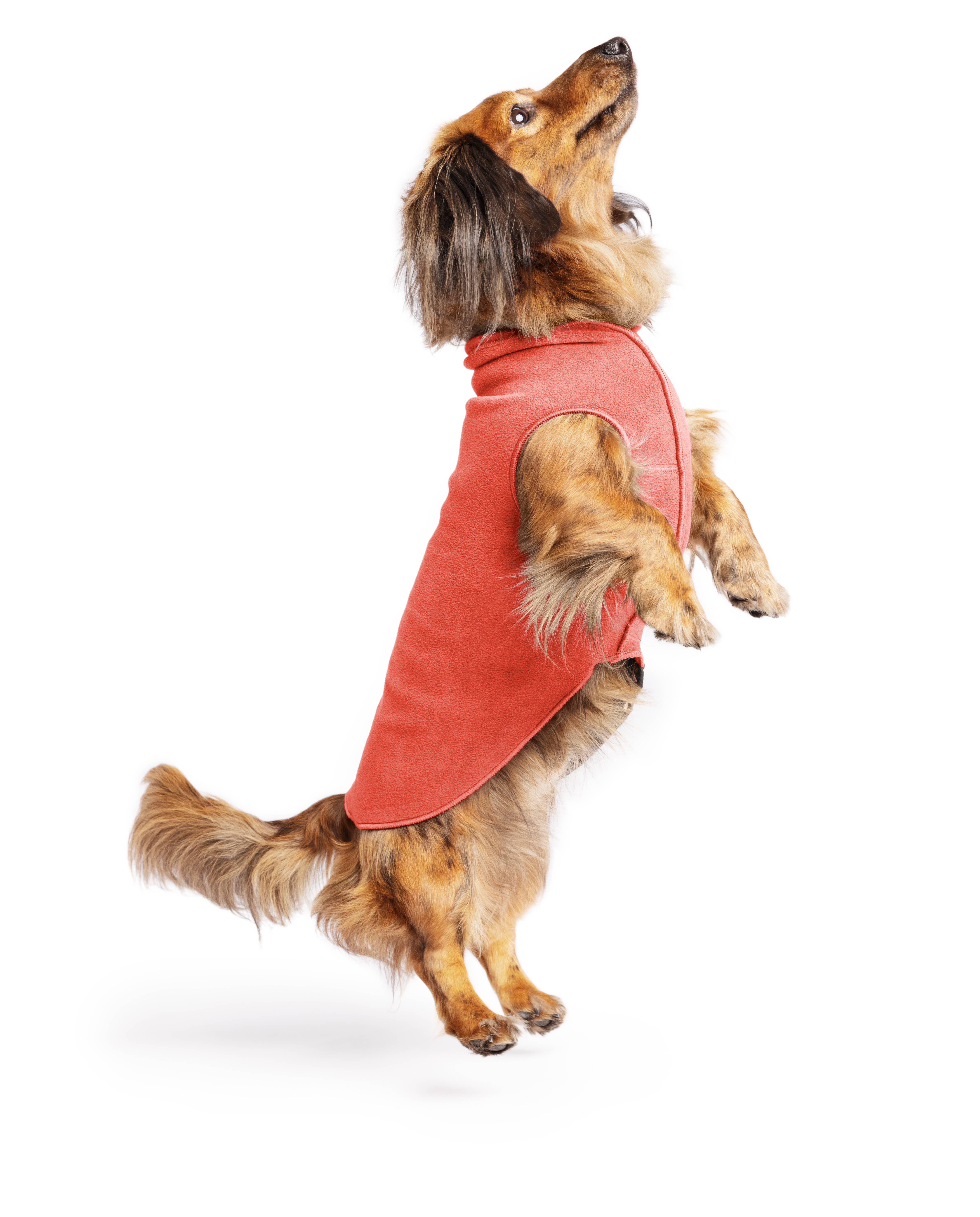 Gold Paw Series – wholesale Pet coat – Dog – Stretch Fleece Sizes 14-3013