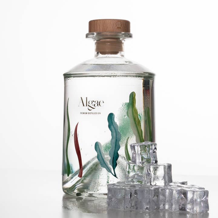 Algae Premium Gin - Wholesale Gin - Algae Premium Distilled Gin0