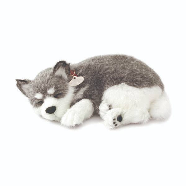 88Unlimited/Perfect Petzzz - Wholesale Stuffed/Plush Toy - Kids & Baby - 03Original - Alaskan Husky