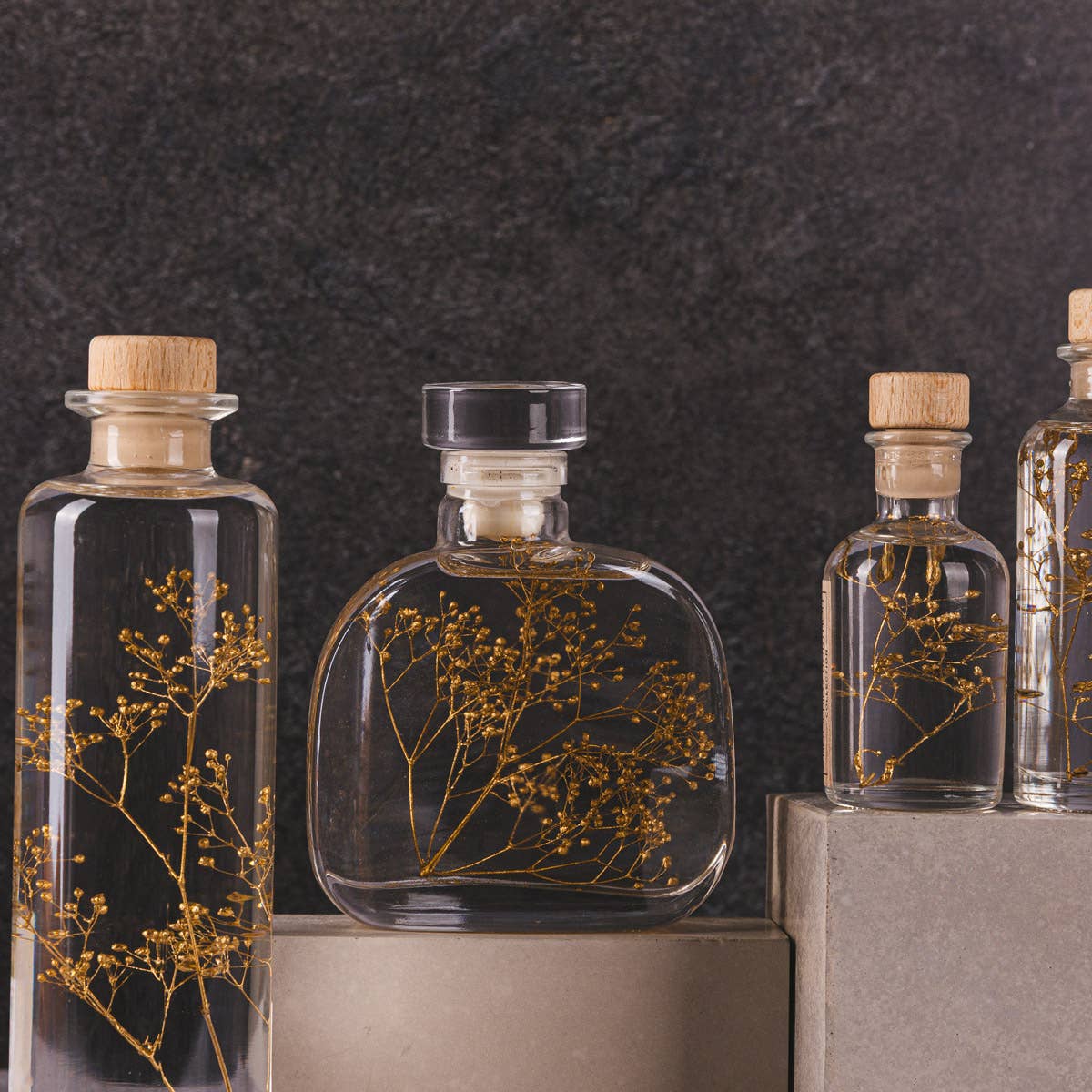 Theophile Berthon – Planta viva por atacado – Cápsula Herbarium - Gipsofila dourada-planta submersa4