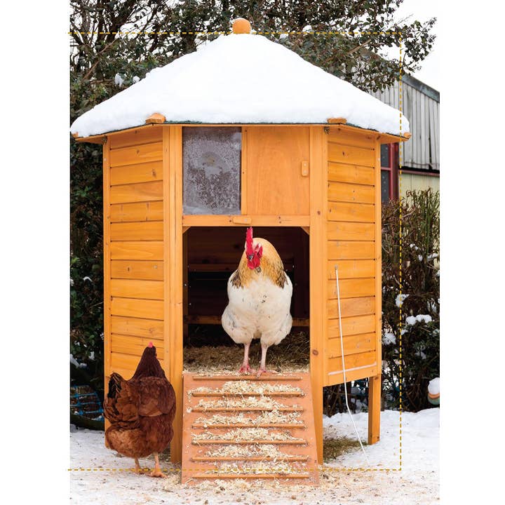 Fox Chapel Publishing - Wholesale Pets - Starter Coops - For Your Chickens First Home4