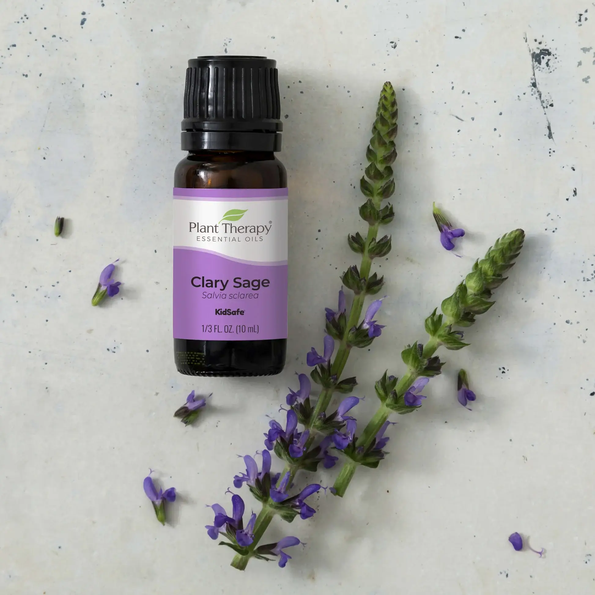 Plant Therapy - Wholesale Essential Oil - Clary Sage Essential Oil 10 mL2