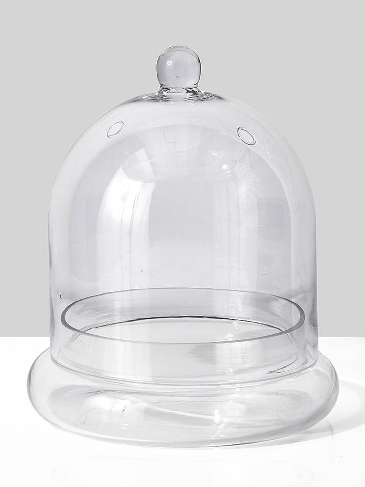 9 ½in Glass Terrarium for wholesale by Jamali Garden