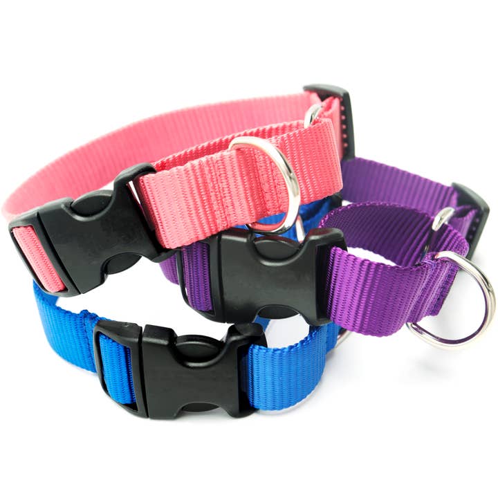 Mimi Green - Wholesale Pet Collar - Dog - Nylon Martingale Loop Dog Collars Quick Release Buckle