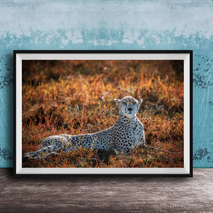 Maximalist Cheetah Decor - Maasai Mara - Acrylic for wholesale by Clifton Haley Photography
