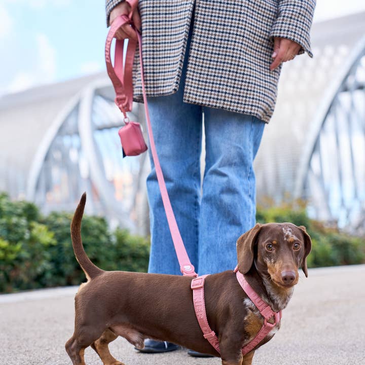 Dukier - Wholesale Pet Leash - Dog - TERRACOTTA DOG LEASH2