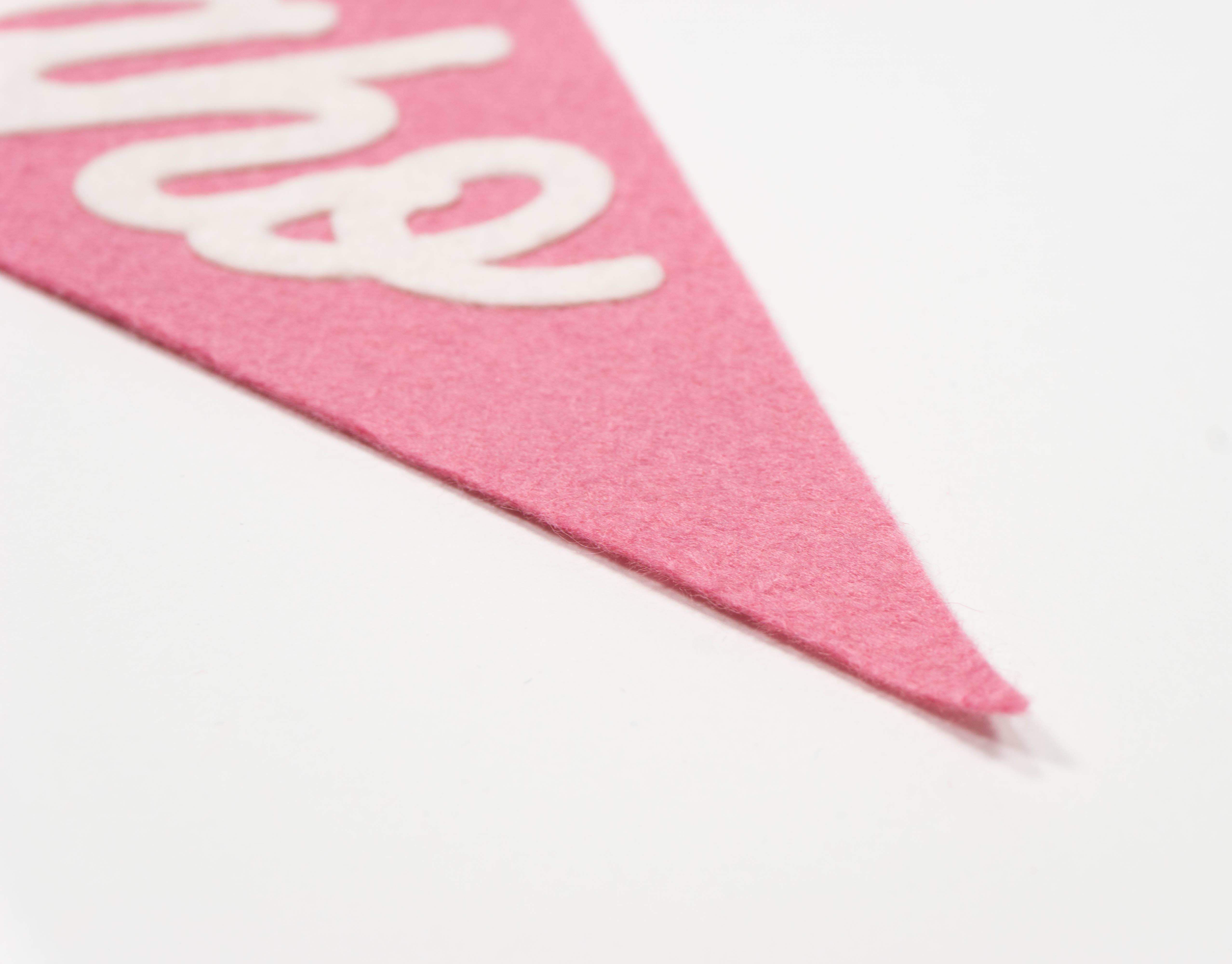 traveldashery - Wholesale Banner - idaho pennant11