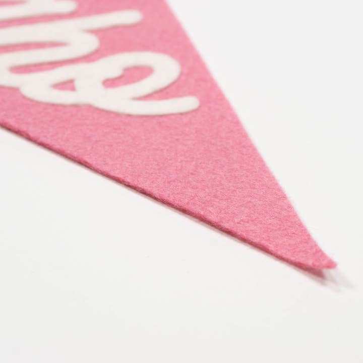 traveldashery - Wholesale Banner - idaho pennant11