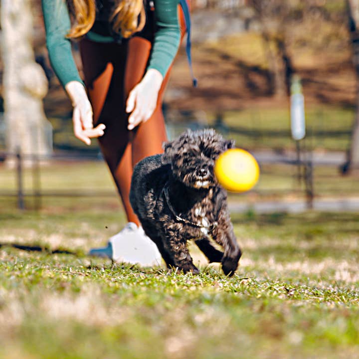 Tall Tails - Wholesale Pet Fetch Ball - Dog - Tall Tails GOAT Sport Balls, 2-Pack- Small7