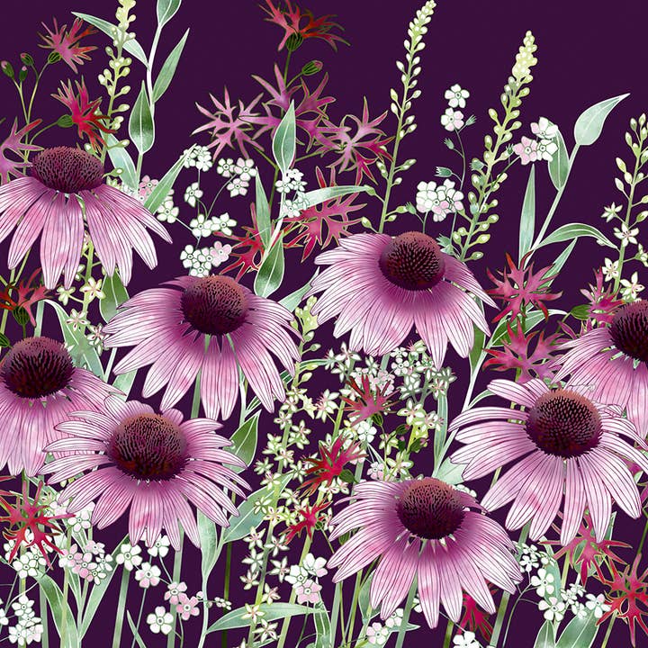 Carte de vœux Esprit des nuits d'été pour la vente par Natural Partners Limited