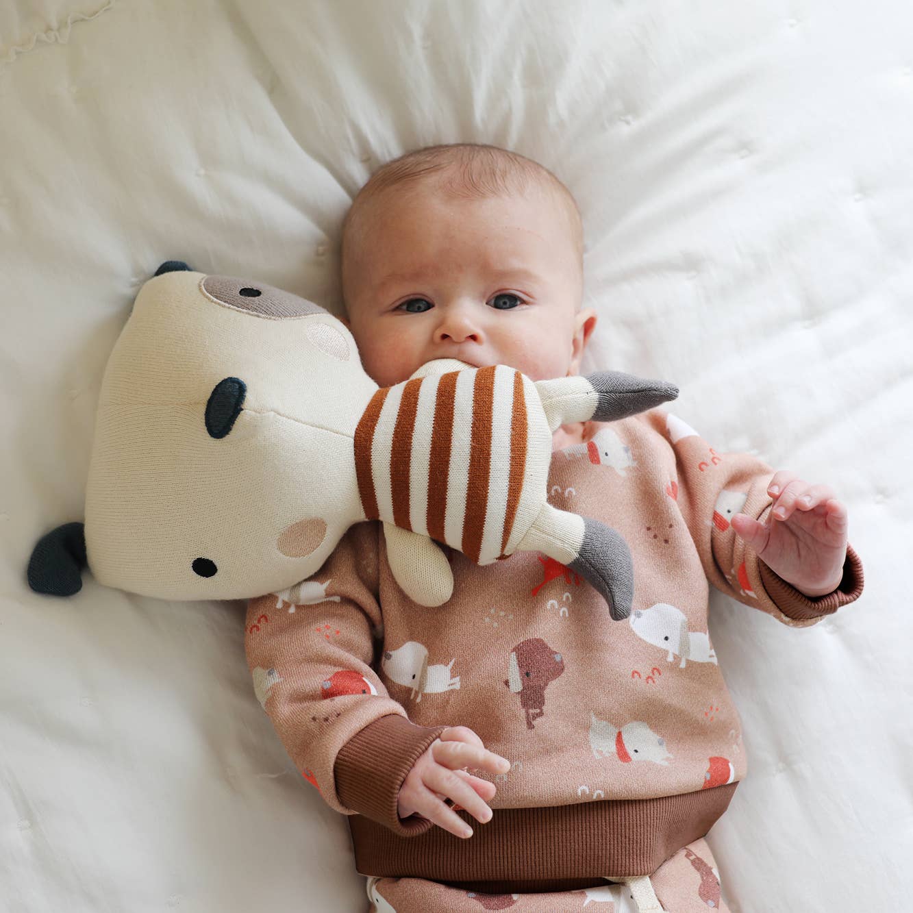 Rust Brown Yoga Dog FLEECE Baby Sweatshirt & Jogger Set -Organic Cotton for wholesale on Faire2