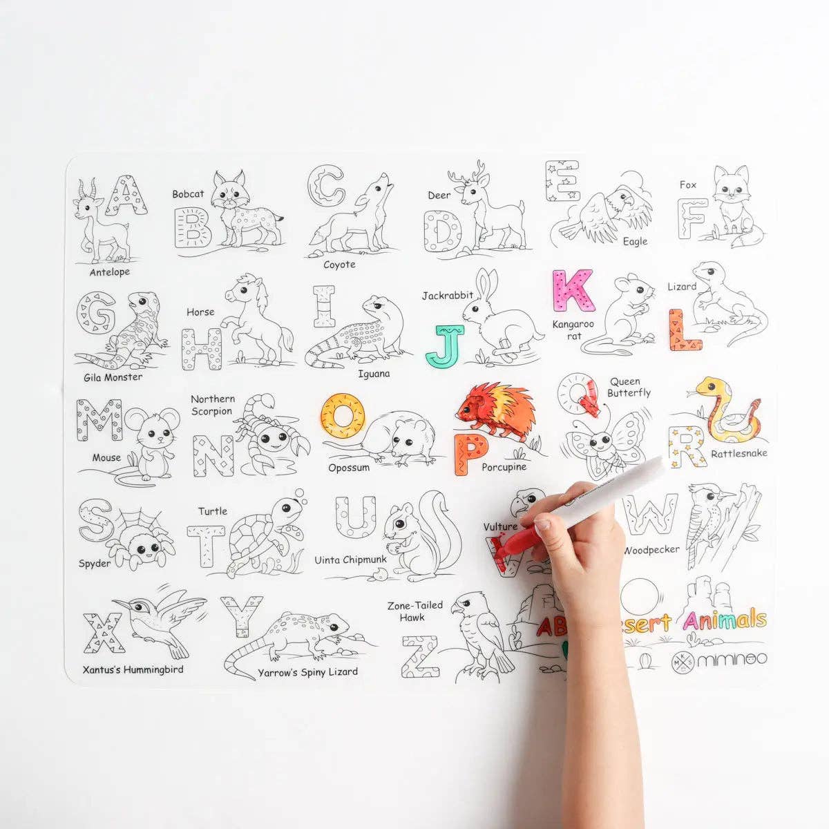 Miminoo - Wholesale Coloring Mat - Kids & Baby - Silicone Reusable Coloring Mat & Markers Set - Desert Animals ABC5