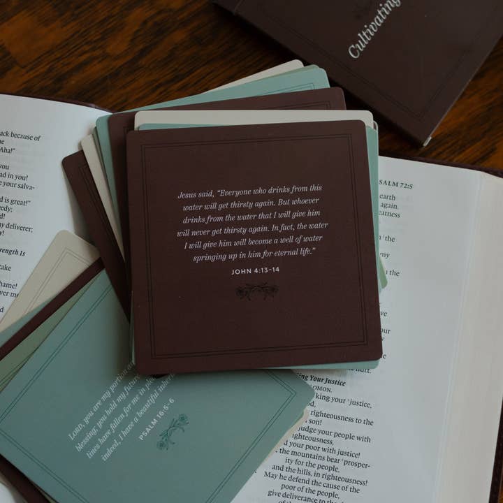 The Daily Grace Co - Wholesale Religious Card - Verses for Cultivating Contentment1