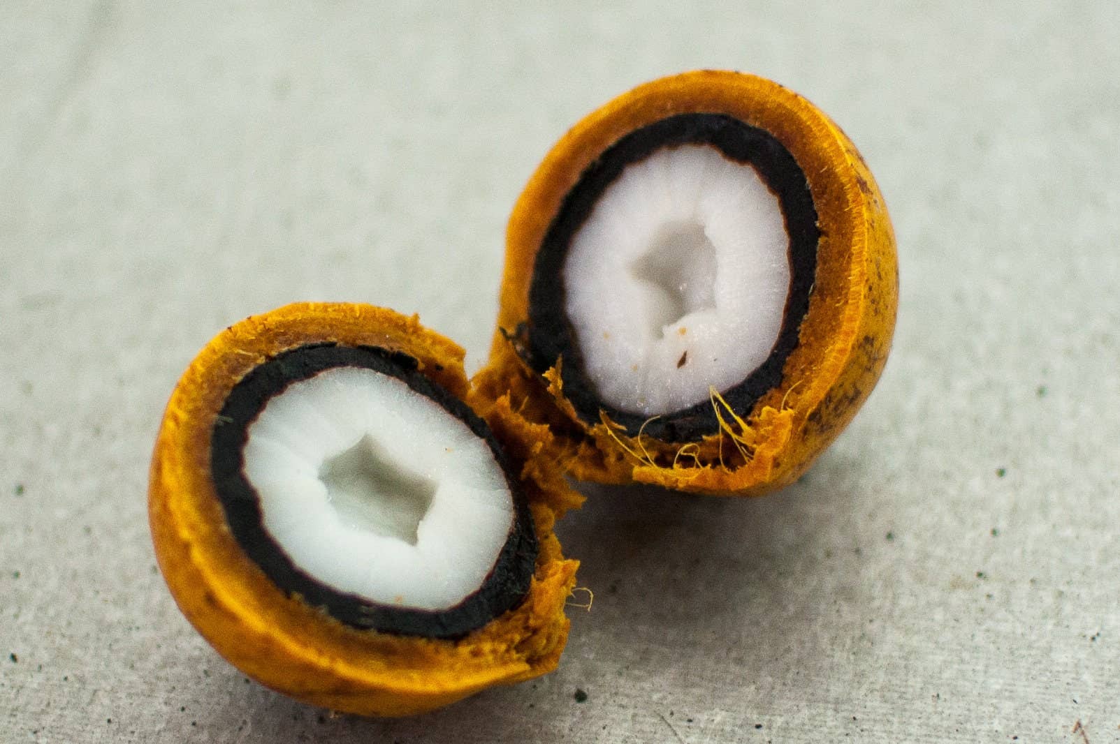 Kemistry Organics - Wholesale Body Balm/Butter - Marajó Tucuma Butter for Hair, Face & Body3