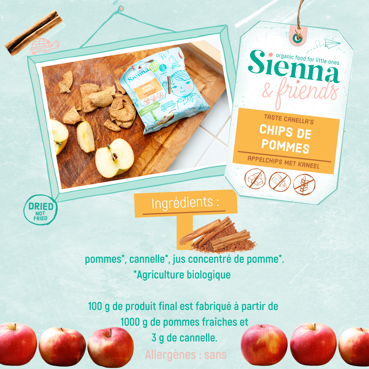 SIENNA & FRIENDS - Wholesale Dried/Dehydrated Fruit - CINNAMON APPLE CHIPS +3A2