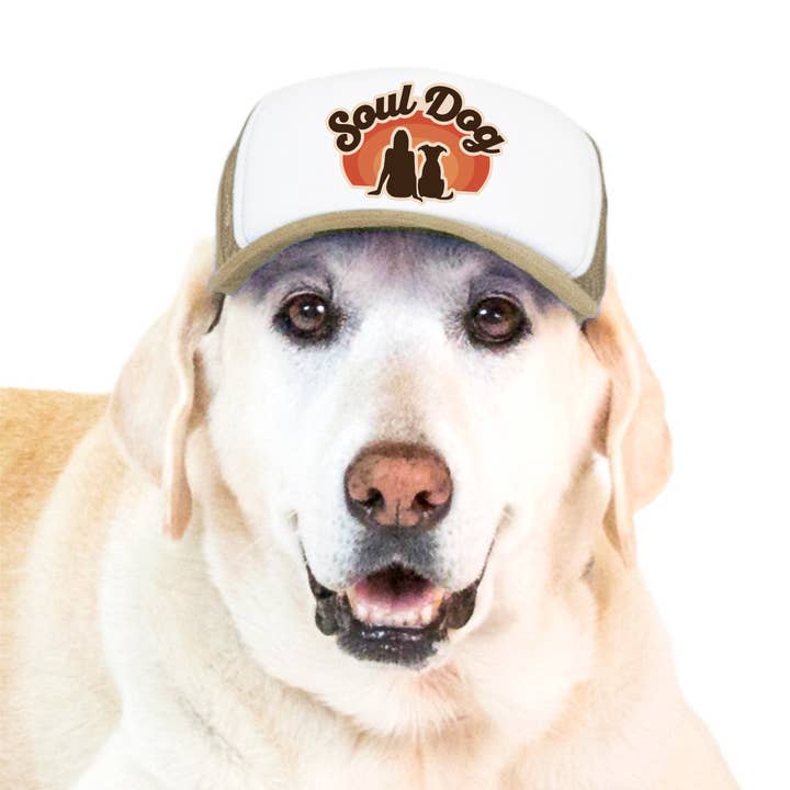 Anima | Cappellini da camionista per cani per la vendita all'ingrosso da parte di PupLid