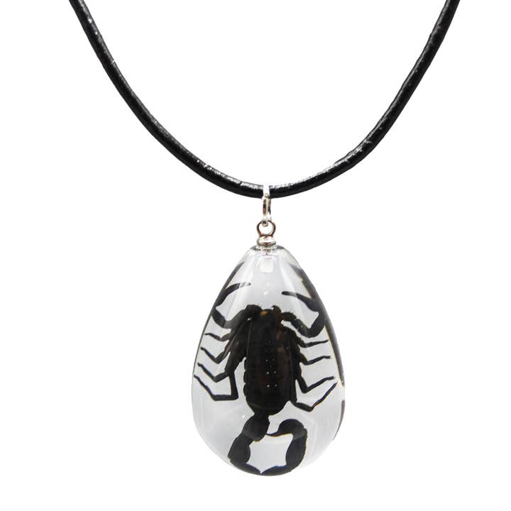 Real Bug Scorpion 20" Necklace on Genuine Leather Cord-PC for wholesale by Natalia