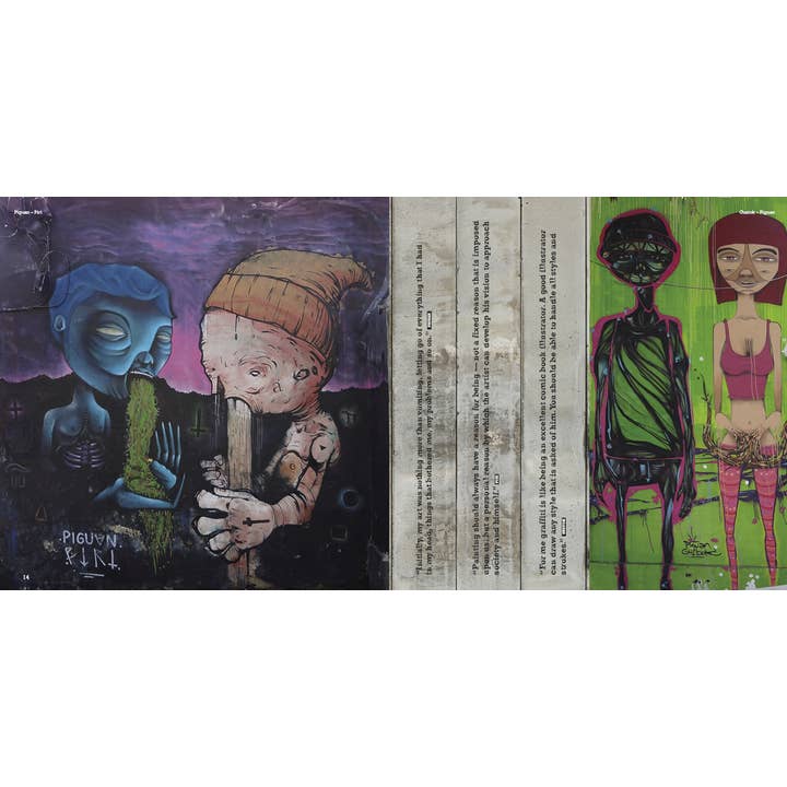 Schiffer Publishing - Vente Display Book - Street Art Santiago Chili5