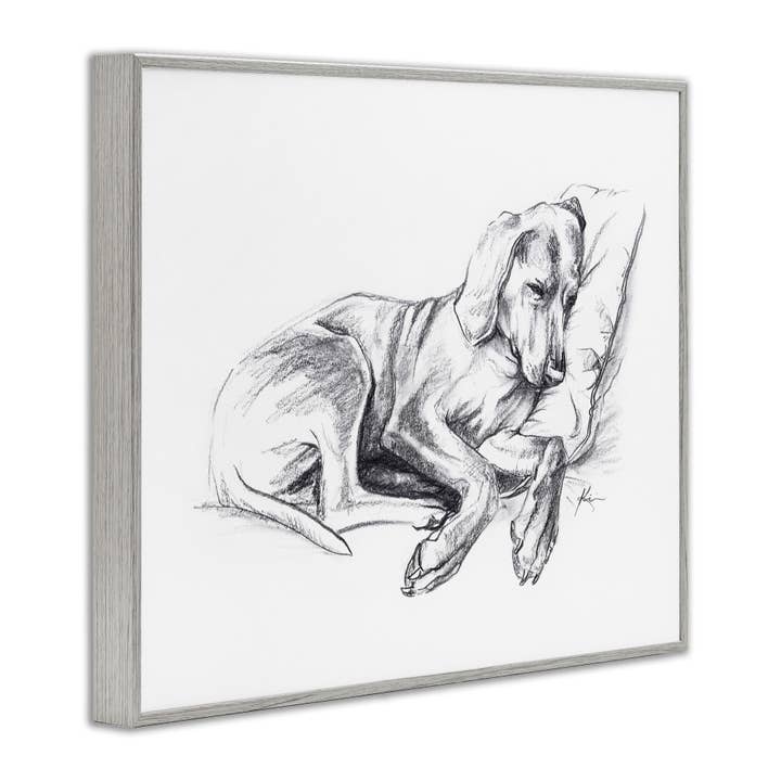 Stupell Industries - Wholesale Wall Decor - Kids & Baby - Napping Dog Drawing Framed Art8