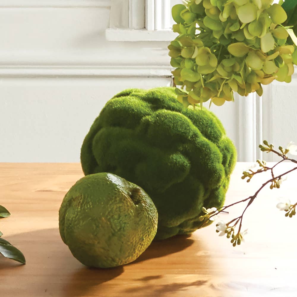 Napa Home & Garden - Wholesale Tafelbladdecoratie - Mood Moss Orb 7"1