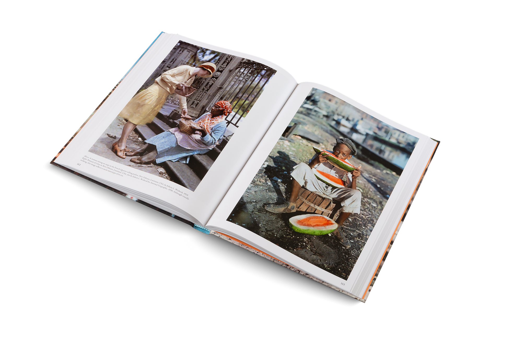 gestalten & teNeues - Wholesale Display Book - The Colors of Life12